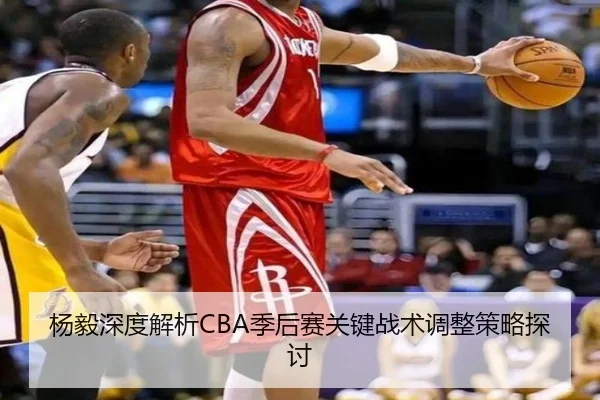 杨毅深度解析CBA季后赛关键战术调整策略探讨