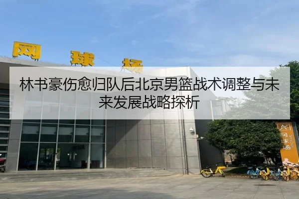 林书豪伤愈归队后北京男篮战术调整与未来发展战略探析