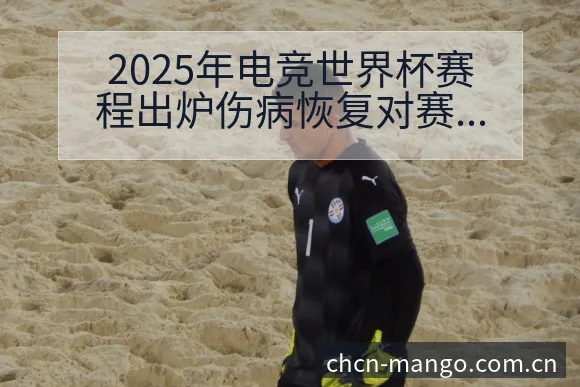 2025年电竞世界杯赛程出炉伤病恢复对赛程影响风险观察 - 芒果体育