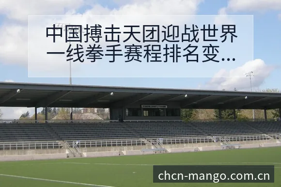 中国搏击天团迎战世界一线拳手赛程排名变化观察 - 芒果体育